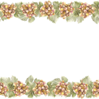 Watercolor seamless border frame. Bunch of green yellow grapes, leaves and grape berry. Grapevine hand painted. Wrapping paper, labels, card print. Botanical illustration png