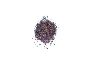 Black mustard seeds spices on white background photo