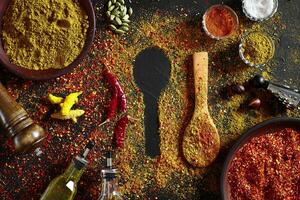 Assorted spices on dark black background. Seasonings for food. Curry, paprika, pepper, cardamom, turmeric. Top view. photo