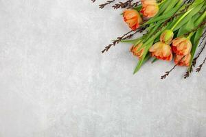 naranja tulipanes flores con primavera ramas en ligero gris hormigón antecedentes. san valentin, De las mujeres, madres día, Pascua de Resurrección, cumpleaños o Boda primavera fiesta plano poner. parte superior vista. Copiar espacio. foto