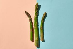 Three fresh organic asparagus stems on pink and blue background. Concept of healthy nutrition, food and seasonal vegetables harvest. Close up photo