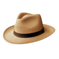 ai généré paille chapeau agrafe art png