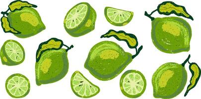 a group of limes and slices are shown vector