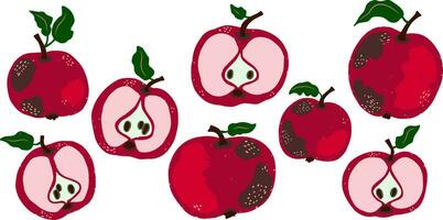 un grupo de rojo manzanas con verde hojas vector