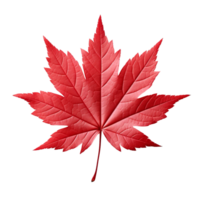 AI generated Japanese maple leaf clip art png