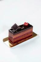 Sponge cake slice with cocoa mousse, jellied raspberry jam topped with chocolate icing photo