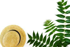 Green leaf branches and straw haton white background. flat lay, top view photo