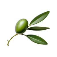 ai généré olive feuilles agrafe art png