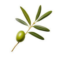 AI generated Olive leaves clip art png