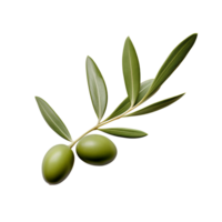 ai generato oliva le foglie clip arte png