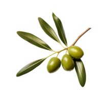 ai généré olive feuilles agrafe art png