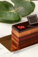 Slice of chocolate cake with mousse, berry jelly and ganache photo