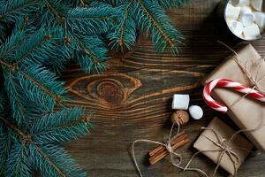 Cocoa with marshmallow, chocolate and spruce branches on a wooden background photo