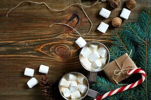 Cocoa with marshmallow, chocolate and spruce branches on a wooden background photo