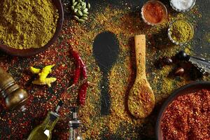 Assorted spices on dark black background. Seasonings for food. Curry, paprika, pepper, cardamom, turmeric. Top view. photo