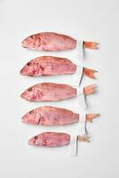 Five air-dried red mullets with labels on tails on white background photo