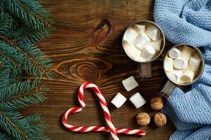 Cocoa with marshmallow, chocolate and spruce branches on a wooden background photo