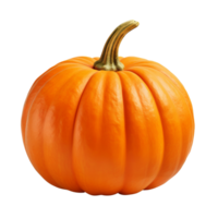 AI generated Pumpkin clip art png