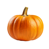 AI generated Pumpkin clip art png