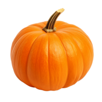 AI generated Pumpkin clip art png