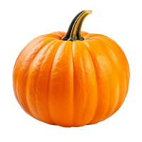 AI generated Pumpkin clip art png