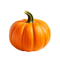 AI generated Pumpkin clip art png