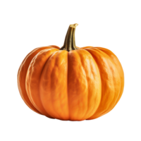 AI generated Pumpkin clip art png