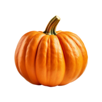 AI generated Pumpkin clip art png