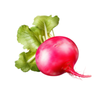 AI generated Radish clip art png