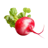 AI generated Radish clip art png