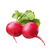 AI generated Radish clip art png