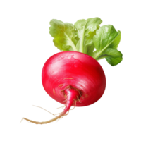 AI generated Radish clip art png