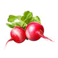 AI generated Radish clip art png