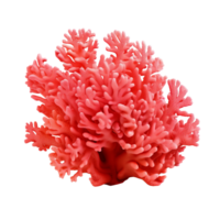 AI generated Red coral clip art png