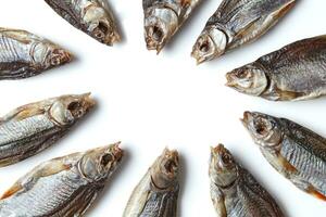 Jerky or dried salted roach laid out in circle, delicious clipfish isolated on white background. Salty beer appetizer. Close up, copy space photo