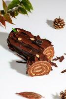 Sliced chocolate cake roll with buttercream and hazelnuts on white background photo