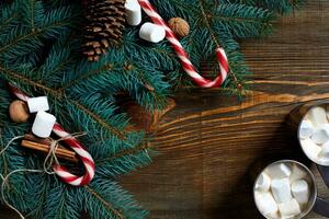 Cocoa with marshmallow, chocolate and spruce branches on a wooden background photo