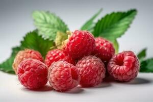 AI Generated a group of red raspberry berries on a white background photo