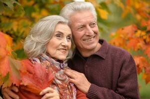 Close up portrait of beautiful senior couple relaxing in park photo