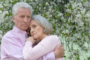 Portrait of sad senior couple in the park photo