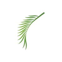 Leaf palm logo vector template symbol and design