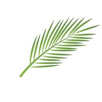 Leaf palm logo vector template symbol and design