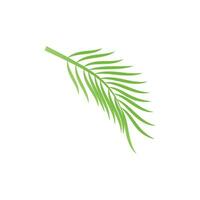 Leaf palm logo vector template symbol and design