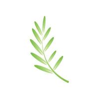 Leaf palm logo vector template symbol and design