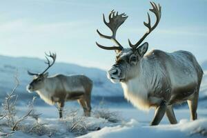 AI generated Reindeer in the spring embodying renewal and nature's seasonal beauty AI Generated photo