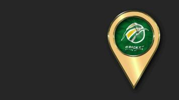 Cricket South Africa, CSA Gold Location Icon Flag Seamless Looped Waving, Space on Left Side for Design or Information, 3D Rendering video