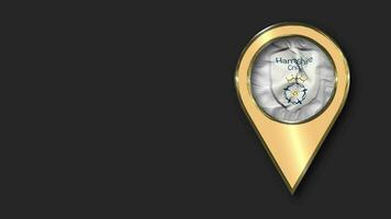 hampshire haviken, hampshire provincie krekel club goud plaats icoon vlag naadloos lusvormige zwaaien, ruimte Aan links kant voor ontwerp of informatie, 3d renderen video