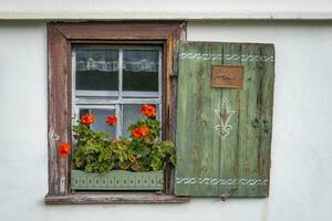 this photo shows still life in a farmers village