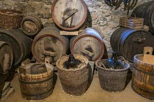 this photo shows still life in a farmers village