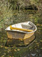 esta fotos muestra un barco en un pequeño estanque con reflexiones en un agricultores pueblo en Alemania